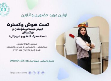 تست هوش وکسلر5